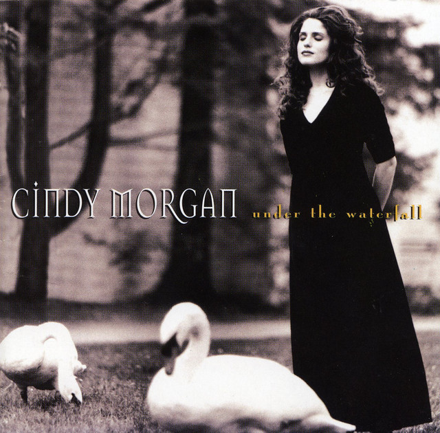 Under the Waterfall album cover