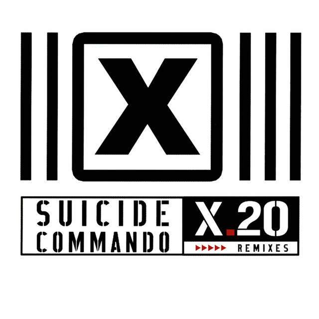 X.20 (Remixes) album cover