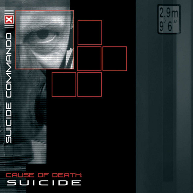 Cause of Death: Suicide album cover