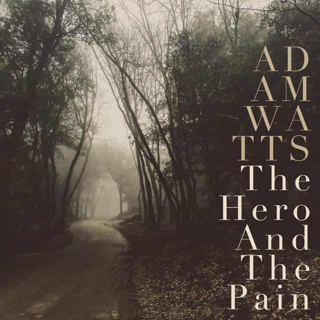 The Hero and the Pain album cover