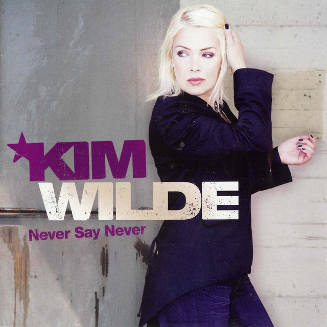 Never Say Never album cover
