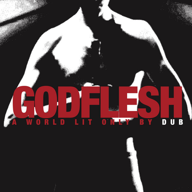 A World Lit Only By Dub album cover