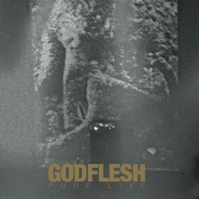 PURE Live album cover