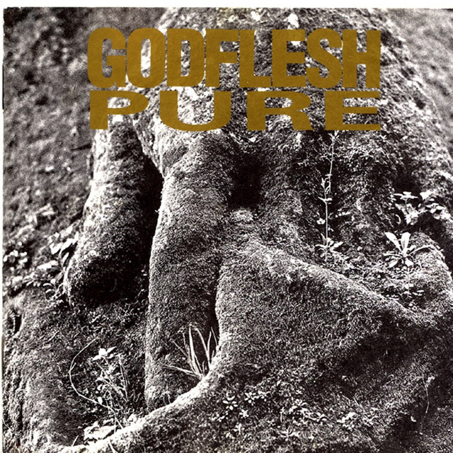 Pure album cover
