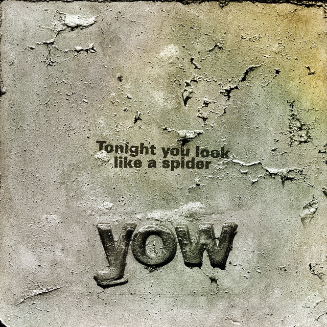 Tonight You Look Like A Spider album cover