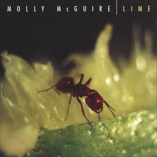 Lime album cover