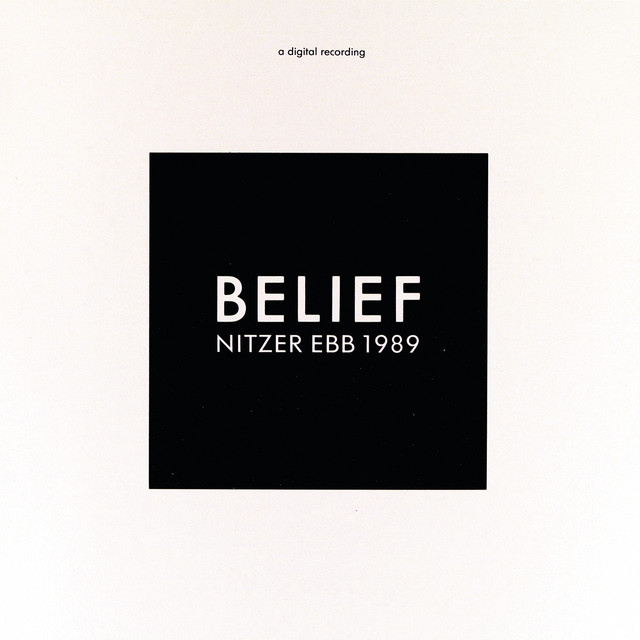 PCAudioLabs Computer as heard on Belief by Nitzer Ebb (1989)