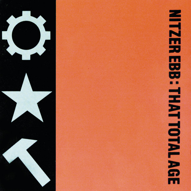 That Total Age album cover