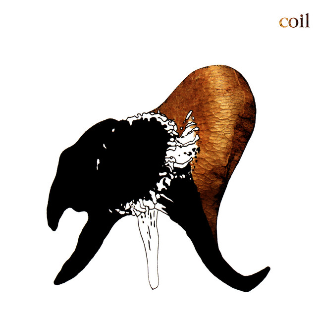 Black Antlers album cover