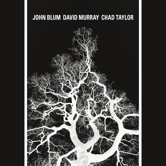 The Recursive Tree album cover