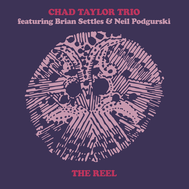 The Reel album cover