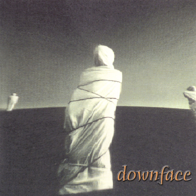 Within album cover