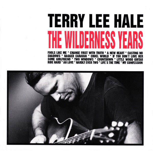 The Wilderness Years album cover