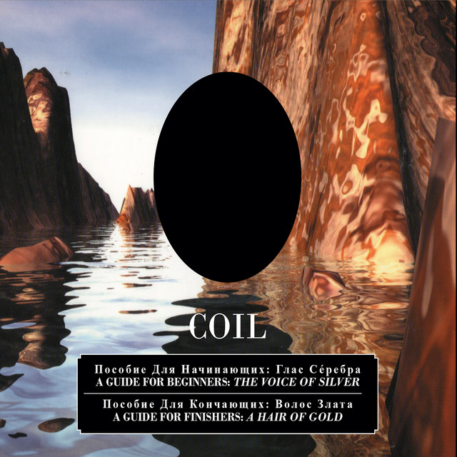 A Guide for Beginners: The Voice of Silver / a Guide for Finishers: a Hair of Gold album cover