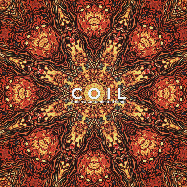 Stolen & Contaminated Songs album cover
