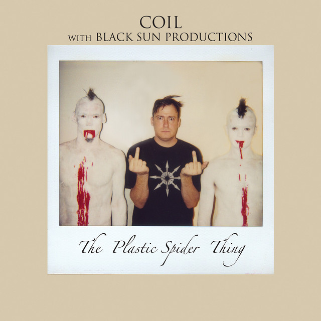 The Plastic Spider Thing album cover