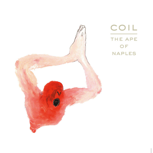 The Ape of Naples album cover