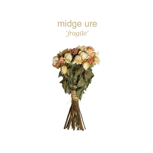 Fragile album cover