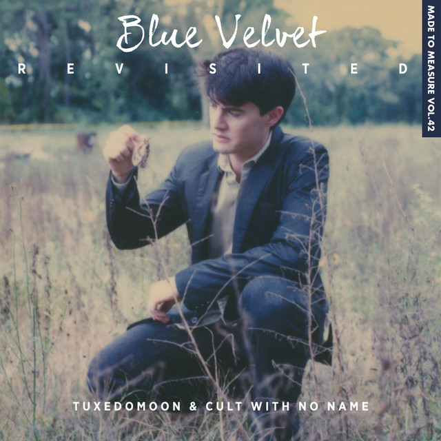 Blue Velvet Revisited album cover