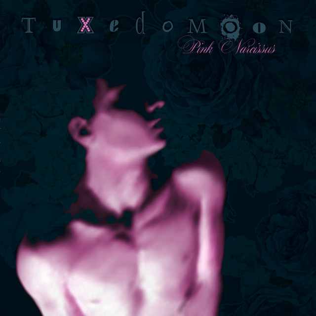 Pink Narcissus album cover