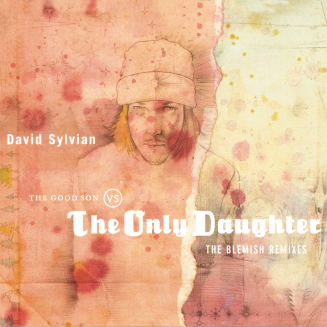 The Good Son Vs. The Only Daughter - The Blemish Remixes album cover