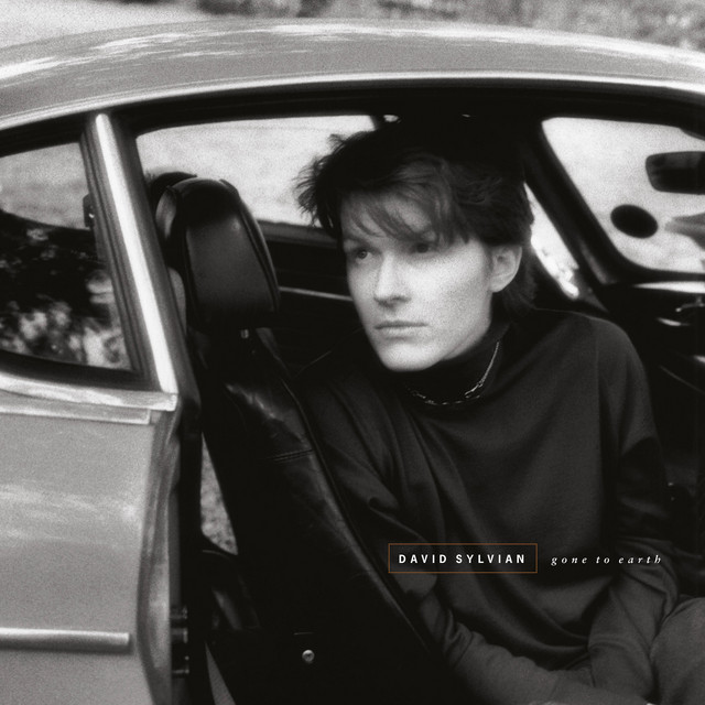 Sequential Circuits Prophet-5 as heard on Gone To Earth (Remastered 2003) by David Sylvian (1986)
