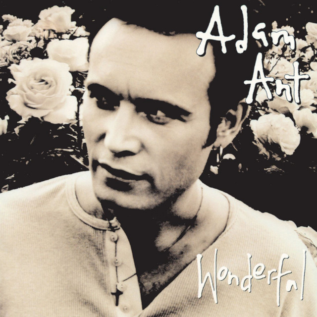 Wonderful album cover
