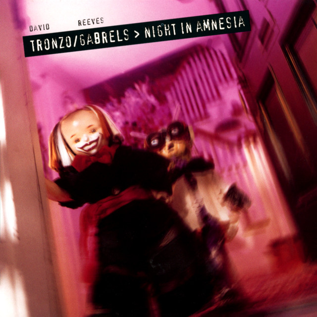 Night In Amnesia album cover