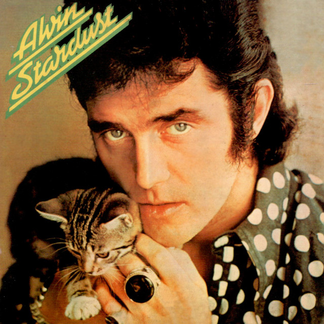 Alvin Stardust album cover