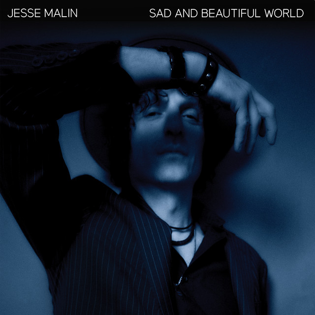 Sad and Beautiful World album cover