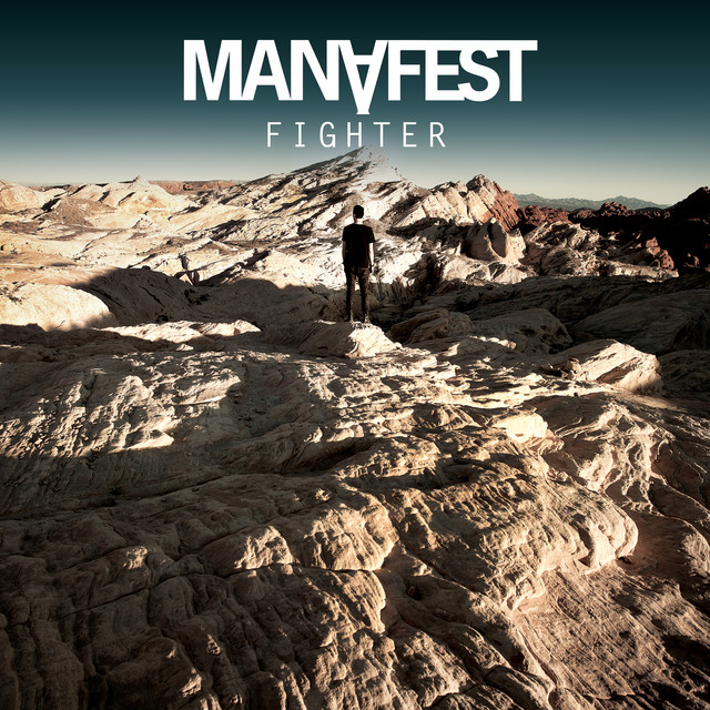 Fighter Instrumentals album cover