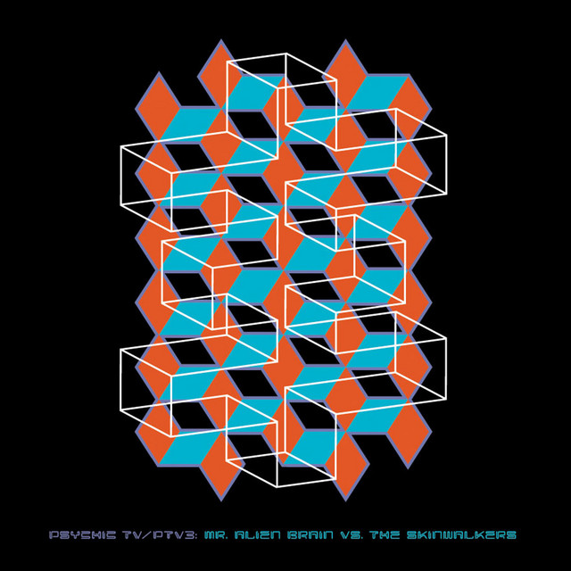 Mr. Alien Brain vs. The Skinwalkers album cover