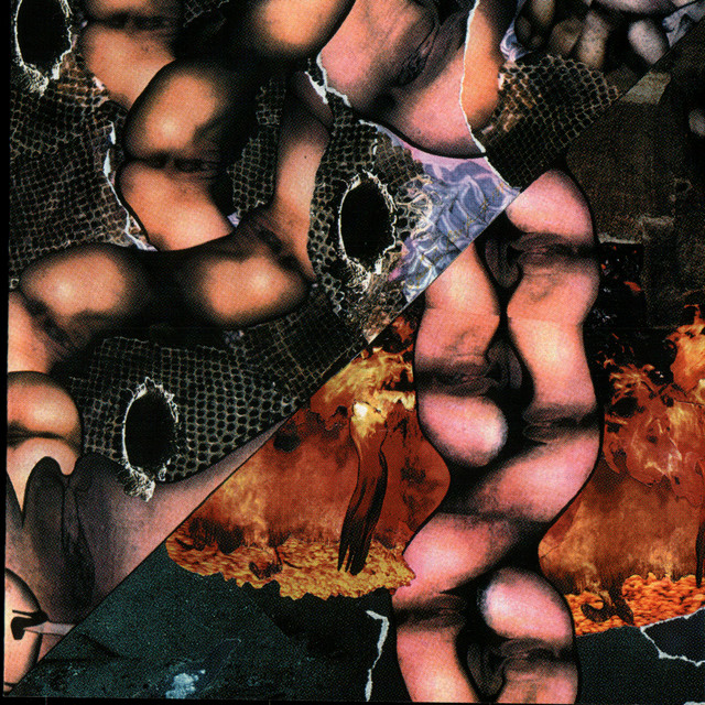 Origin Of The Species Volume Too! - Third Tablet Of Acid album cover