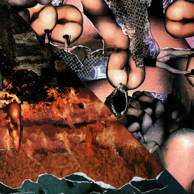 Origin Of The Species Volume Too! - Fourth Tablet Of Acid album cover