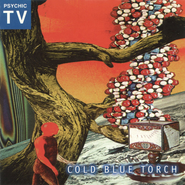 Cold Blue Torch album cover