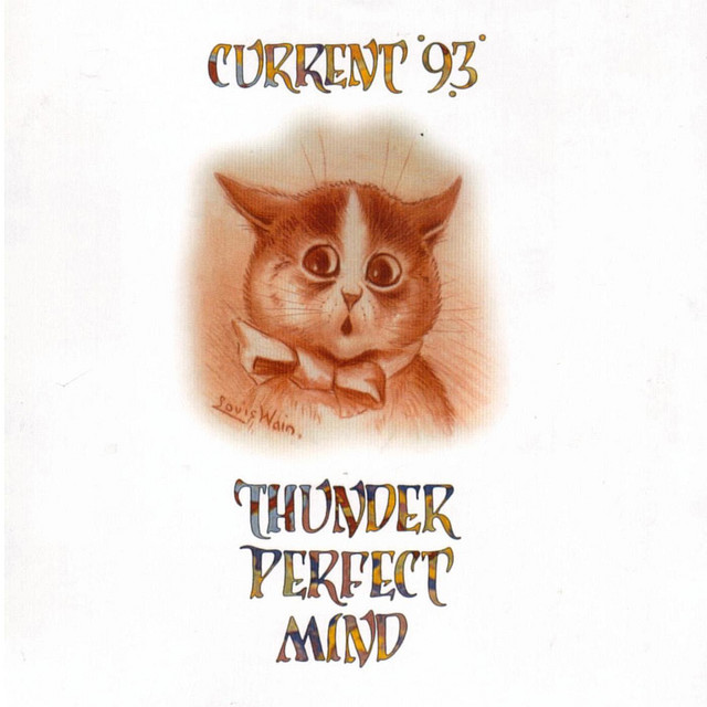 Thunder Perfect Mind album cover