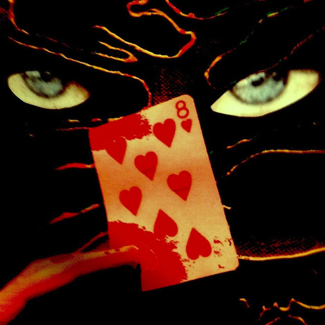 Premonition (2014 Remaster) album cover