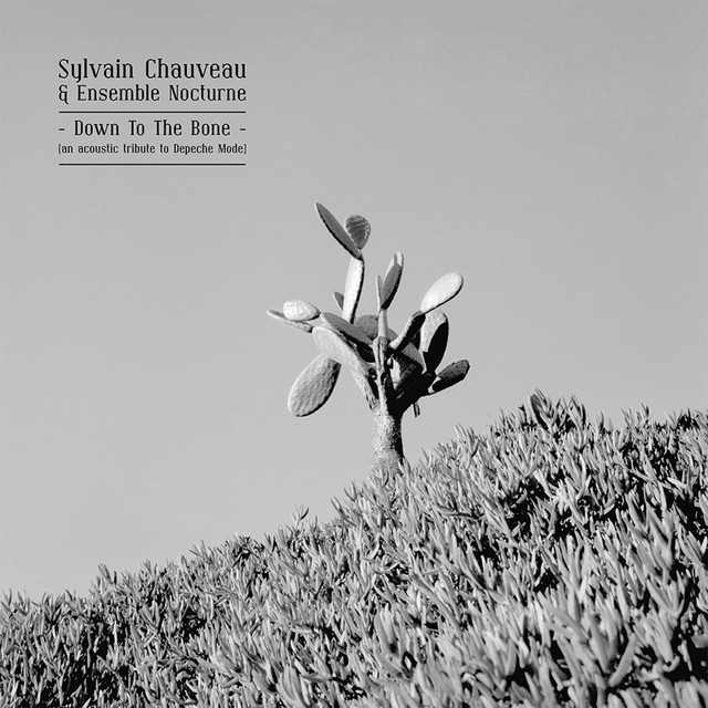 Down to the Bone (An Acoustic Tribute to Depeche Mode) album cover