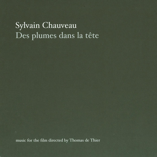 Des Plumes Dans La Tête album cover