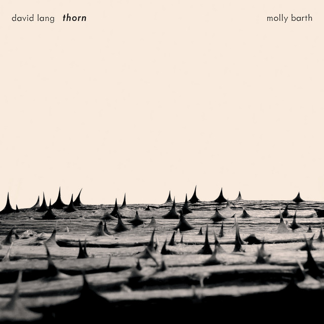 David Lang: Thorn album cover