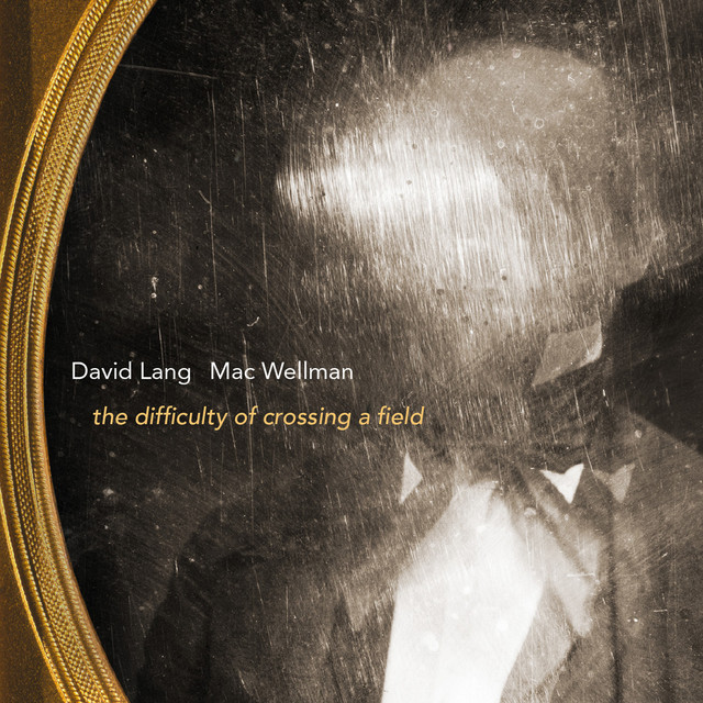 David Lang: The Difficulty of Crossing a Field album cover