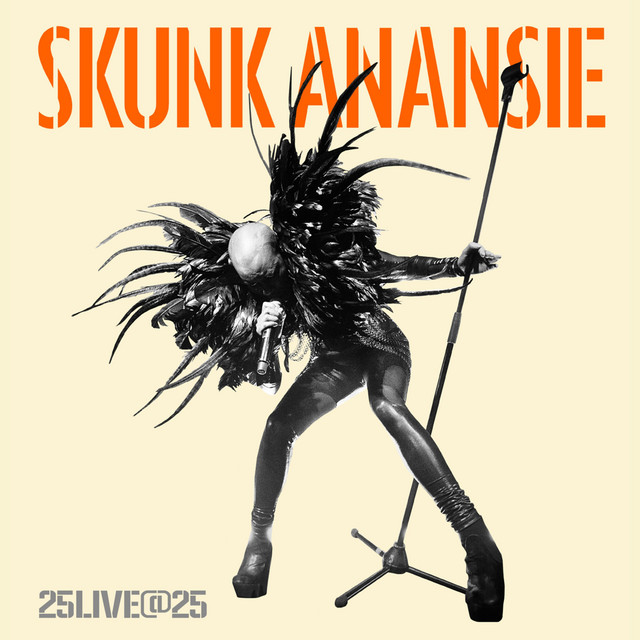 25LIVE@25 album cover