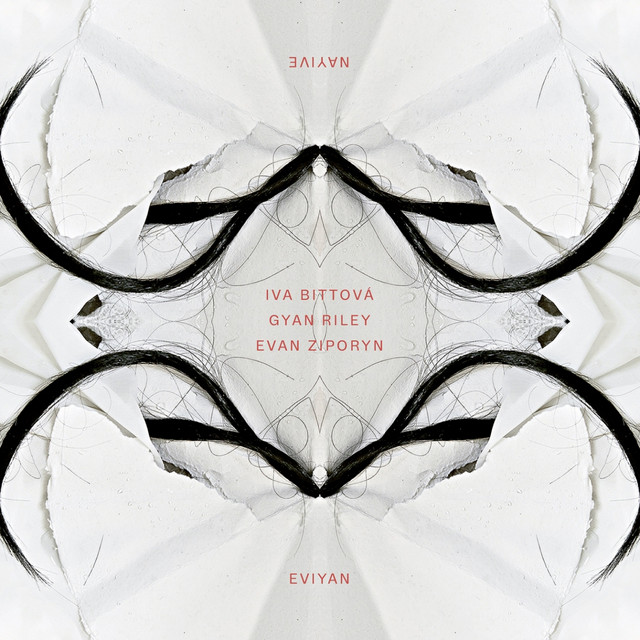 Eviyan - Nayive album cover