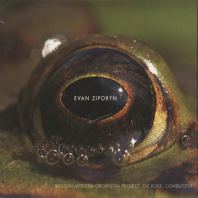 Evan Ziporyn: Frog's Eye album cover