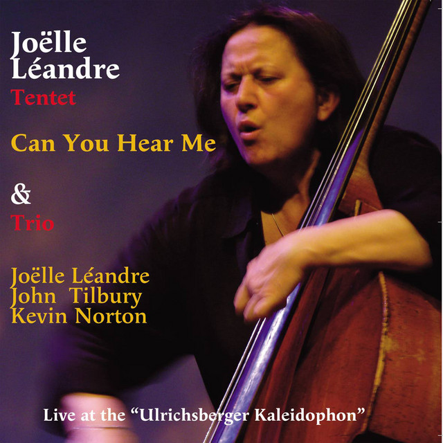 Can You Hear Me? album cover