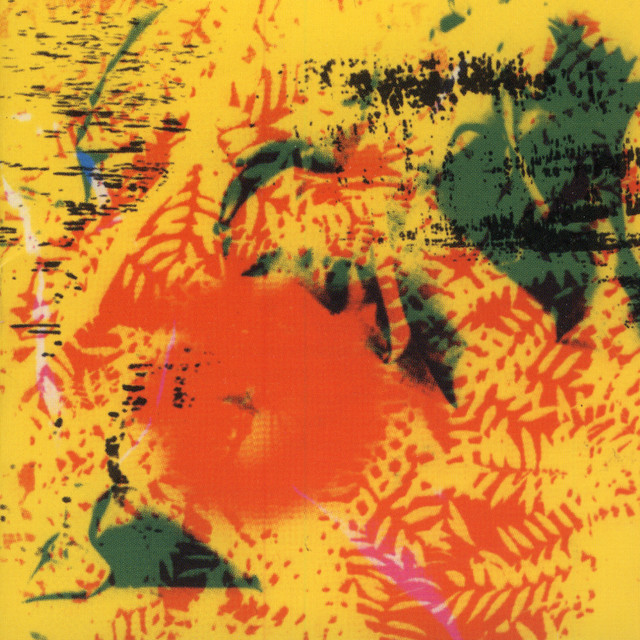 Young Person's Guide to Phill Niblock (YPGPN) album cover