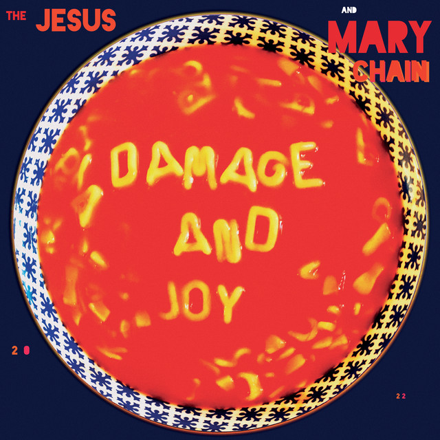 Damage and Joy (Deluxe) album cover