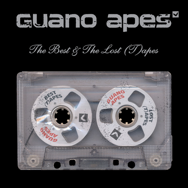 The Best and The Lost (T)apes album cover