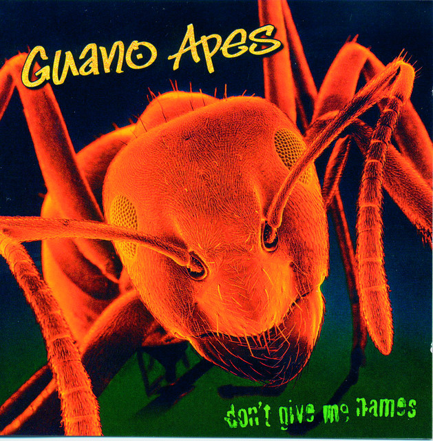 Don't Give Me Names album cover