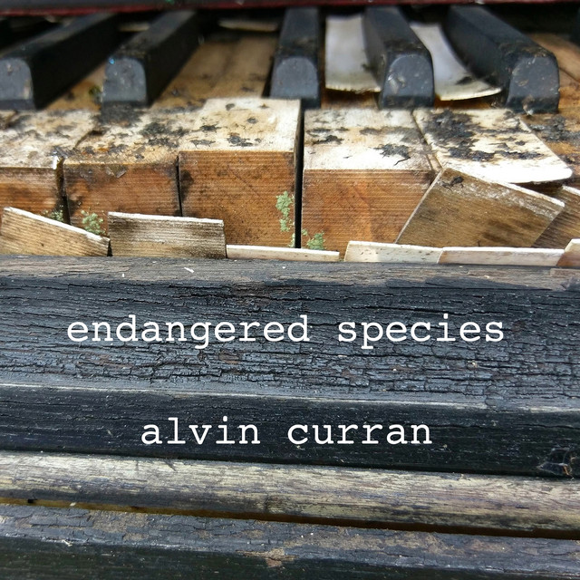 Alvin Curran: Endangered Species album cover